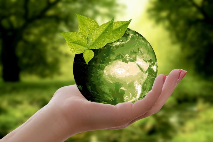 Accelerated Patent Granting For ‘Green’ Inventions 1 Green Inventions